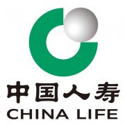 数据中心负载箱-应用于中国人寿